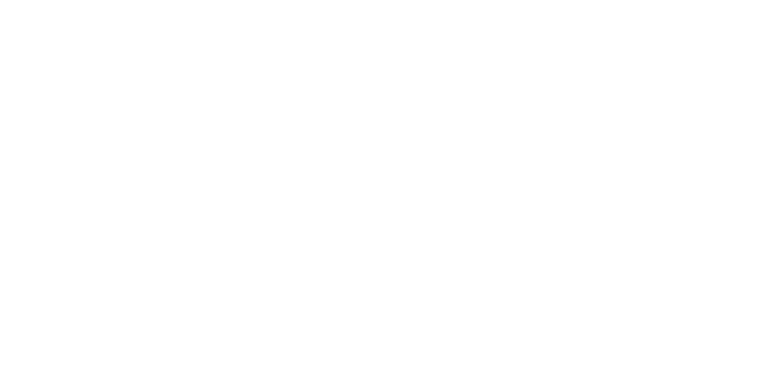 Lake Placid logo in white