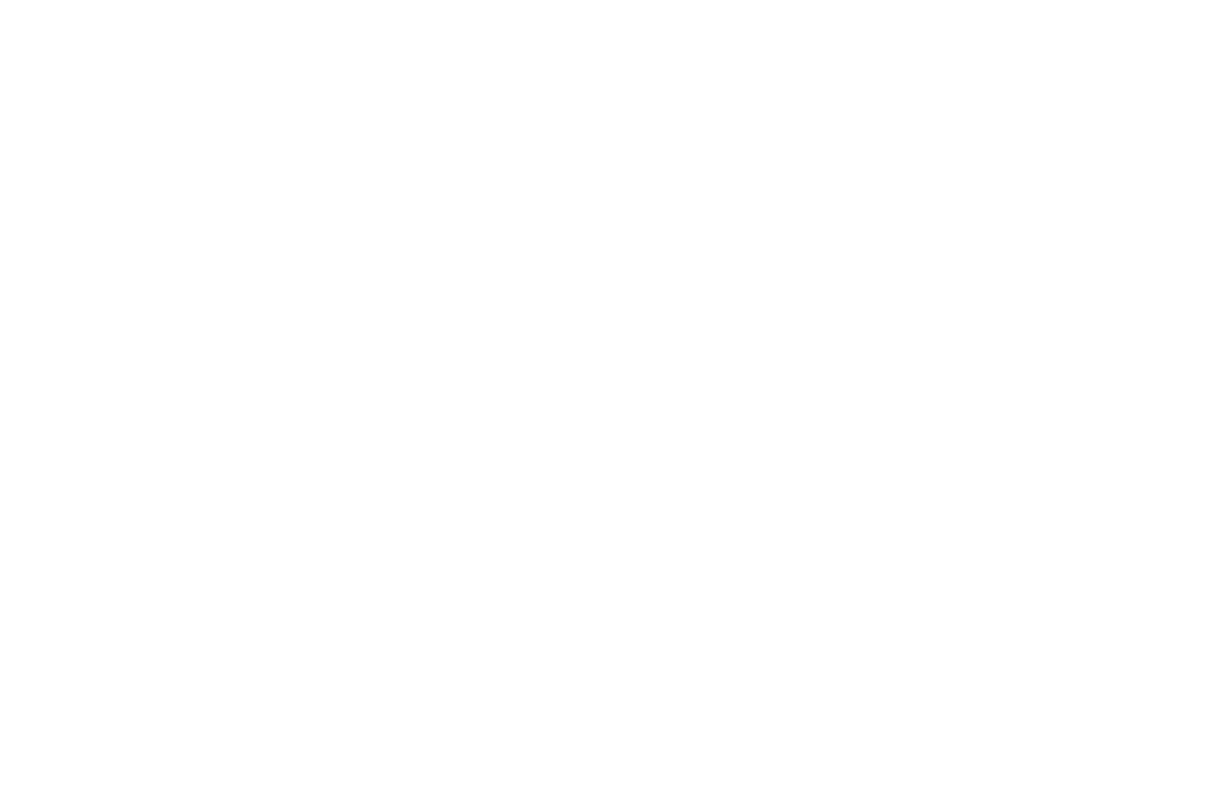 Lido Beach Logo White