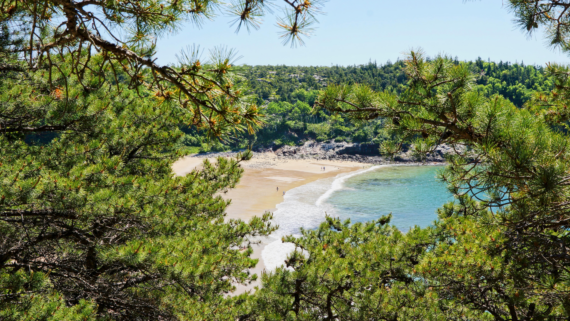 Sand Beach in Acadia National Park in Bar Harbor.