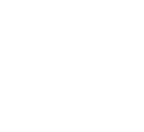 White Opal Key logo